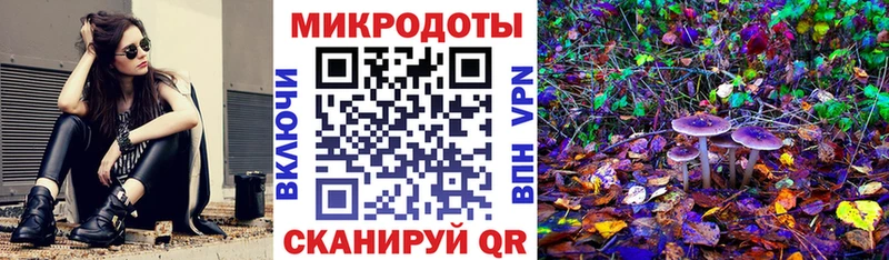 Псилоцибиновые грибы мицелий  что такое   Беслан 