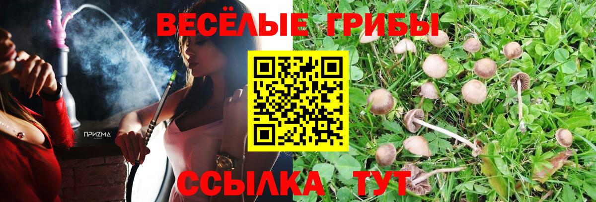 Псилоцибиновые грибы Cubensis  Вход с VPN  Псилоцибиновые грибы Psilocybine cubensis  Беслан 