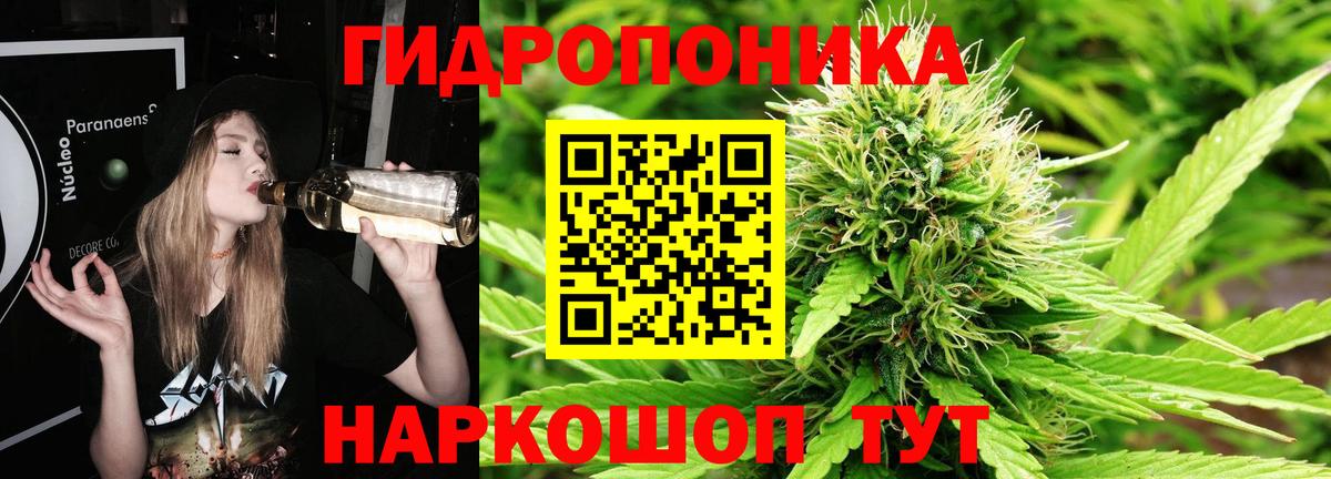 Беслан  Бошки Шишки VHQ  Вход с VPN  Бошки марихуана AK-47  Бошки марихуана сатива 